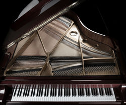 Grand Piano